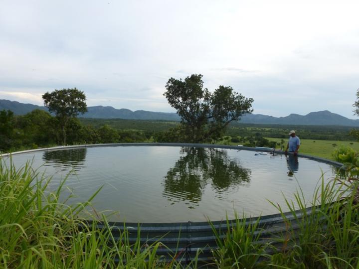 Chácara à venda, 1200m² - Foto 4