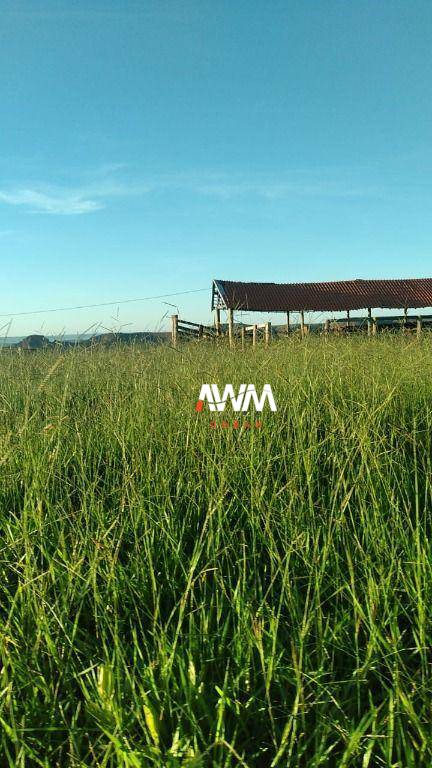 Fazenda, 454 hectares - Foto 1