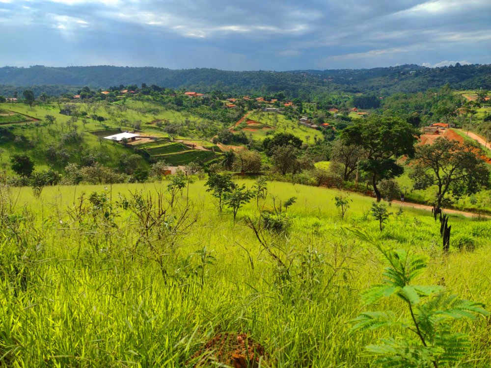 Terreno à venda, 1198m² - Foto 1