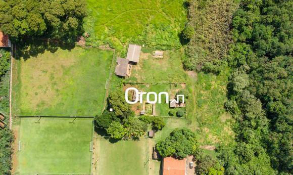 Terreno, 6000 m² - Foto 5