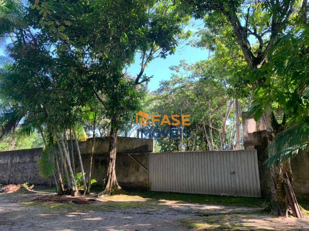 Terreno, 2 hectares - Foto 3