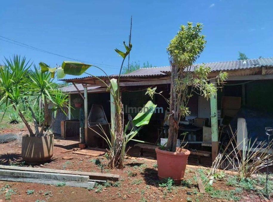 Chácara à venda com 3 quartos, 150m² - Foto 4