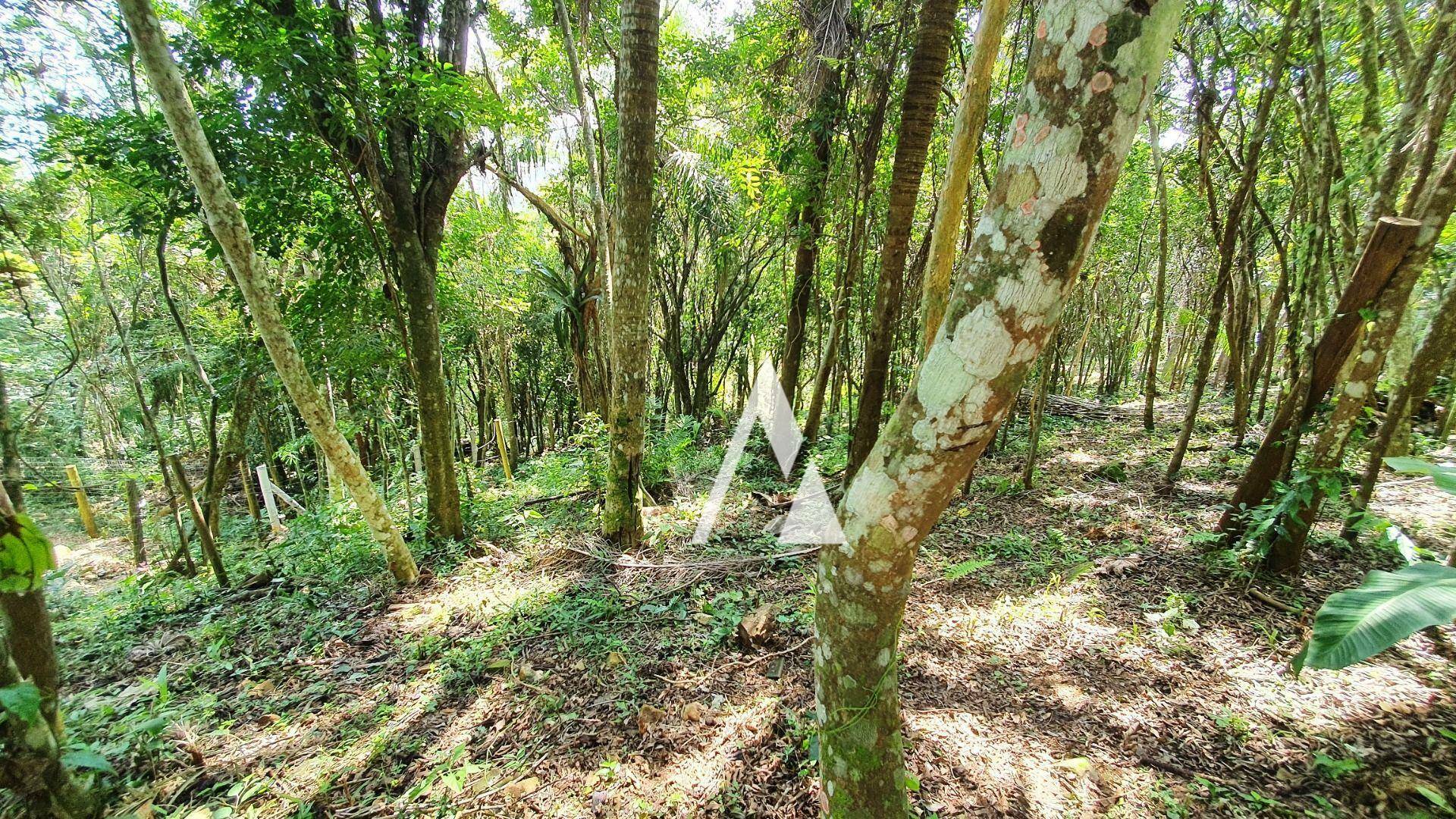 Terreno à venda, 3418M2 - Foto 54