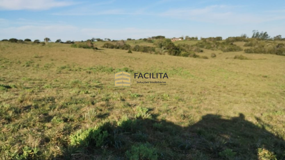 Fazenda-Sítio-Chácara, 76 hectares - Foto 4
