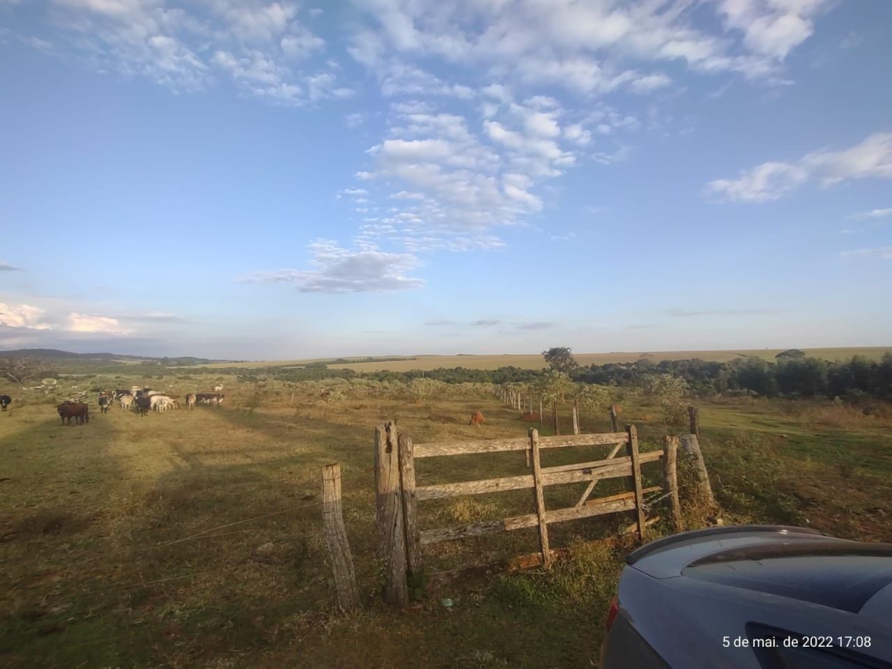 Fazenda-Sítio-Chácara, 42 hectares - Foto 4