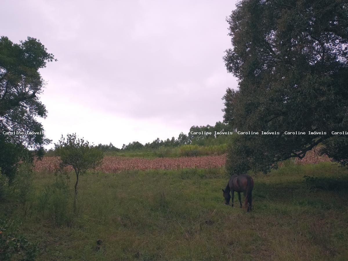 Chácara à venda, 45000m² - Foto 9