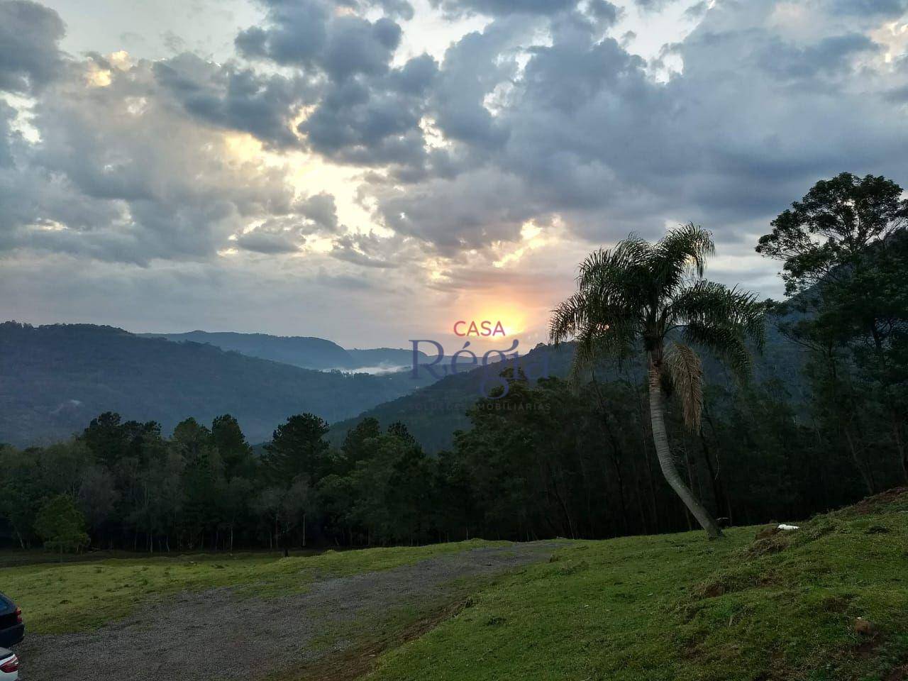 Sítio à venda com 3 quartos, 312229M2 - Foto 17
