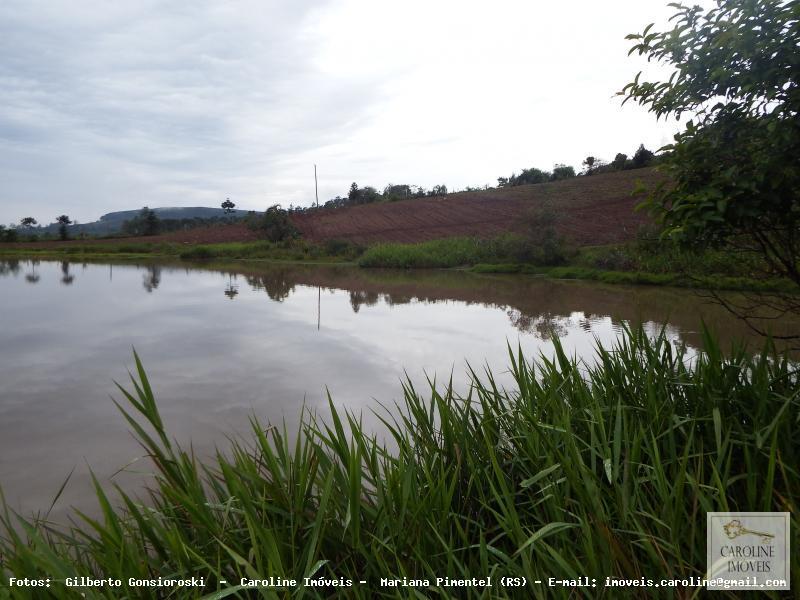 Fazenda à venda com 3 quartos, 60000m² - Foto 9