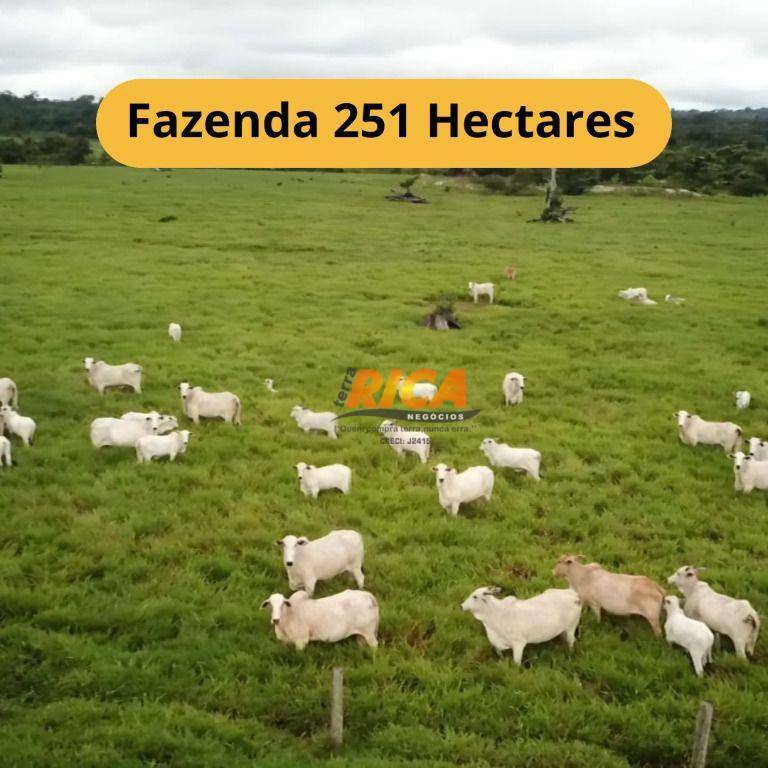 Fazenda-Sítio-Chácara, 251 hectares - Foto 1