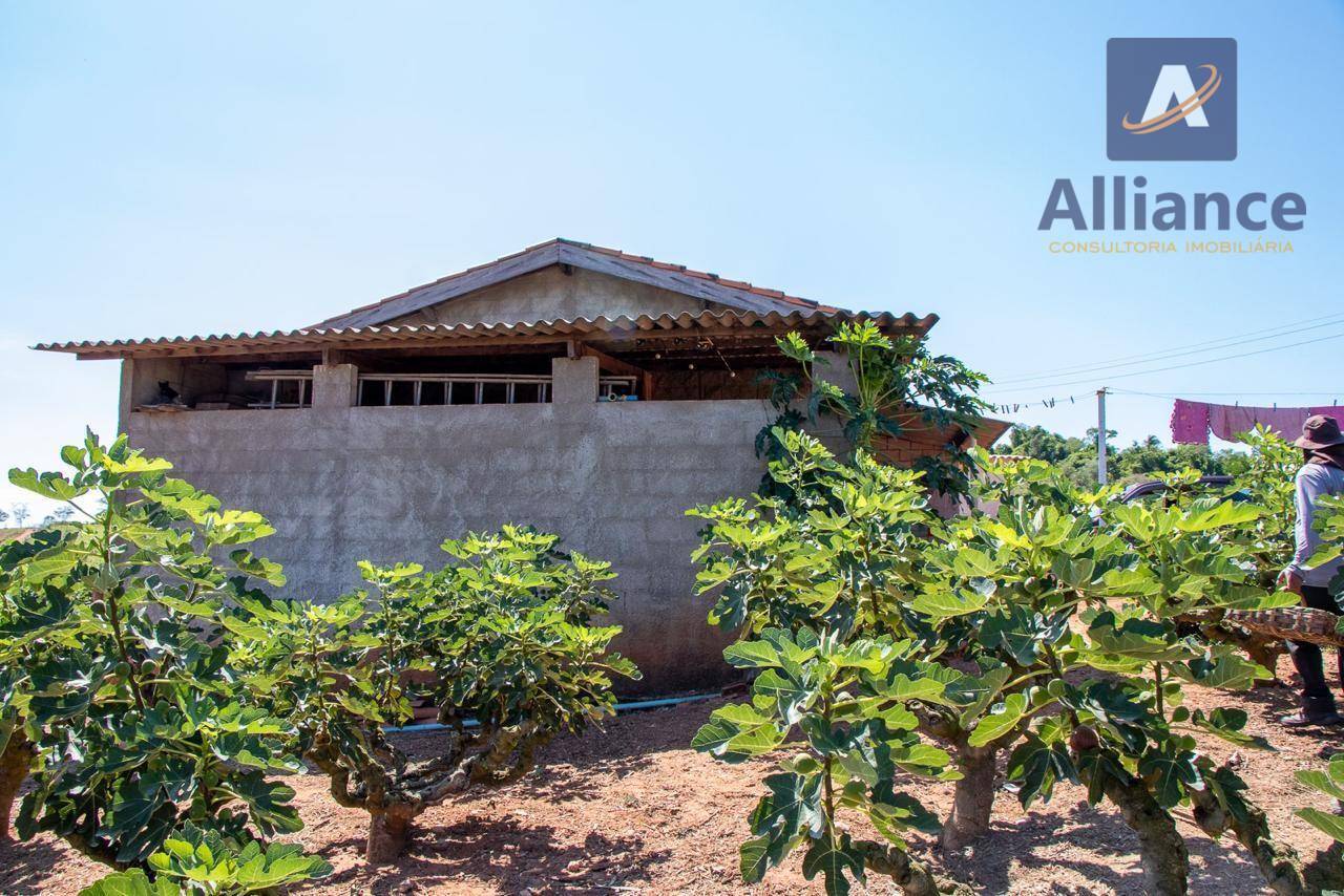 Sítio, 6 hectares - Foto 13