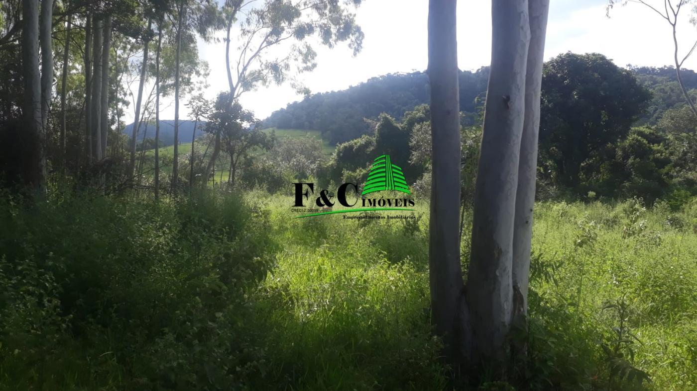 Terreno, 2 hectares - Foto 5