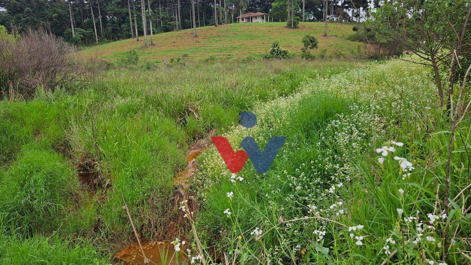 Fazenda à venda com 3 quartos, 1694000M2 - Foto 16