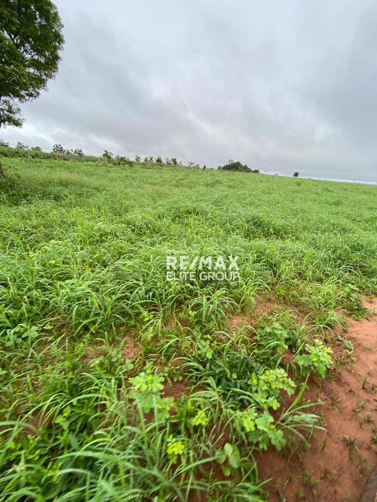 Fazenda à venda com 1 quarto, 1m² - Foto 7