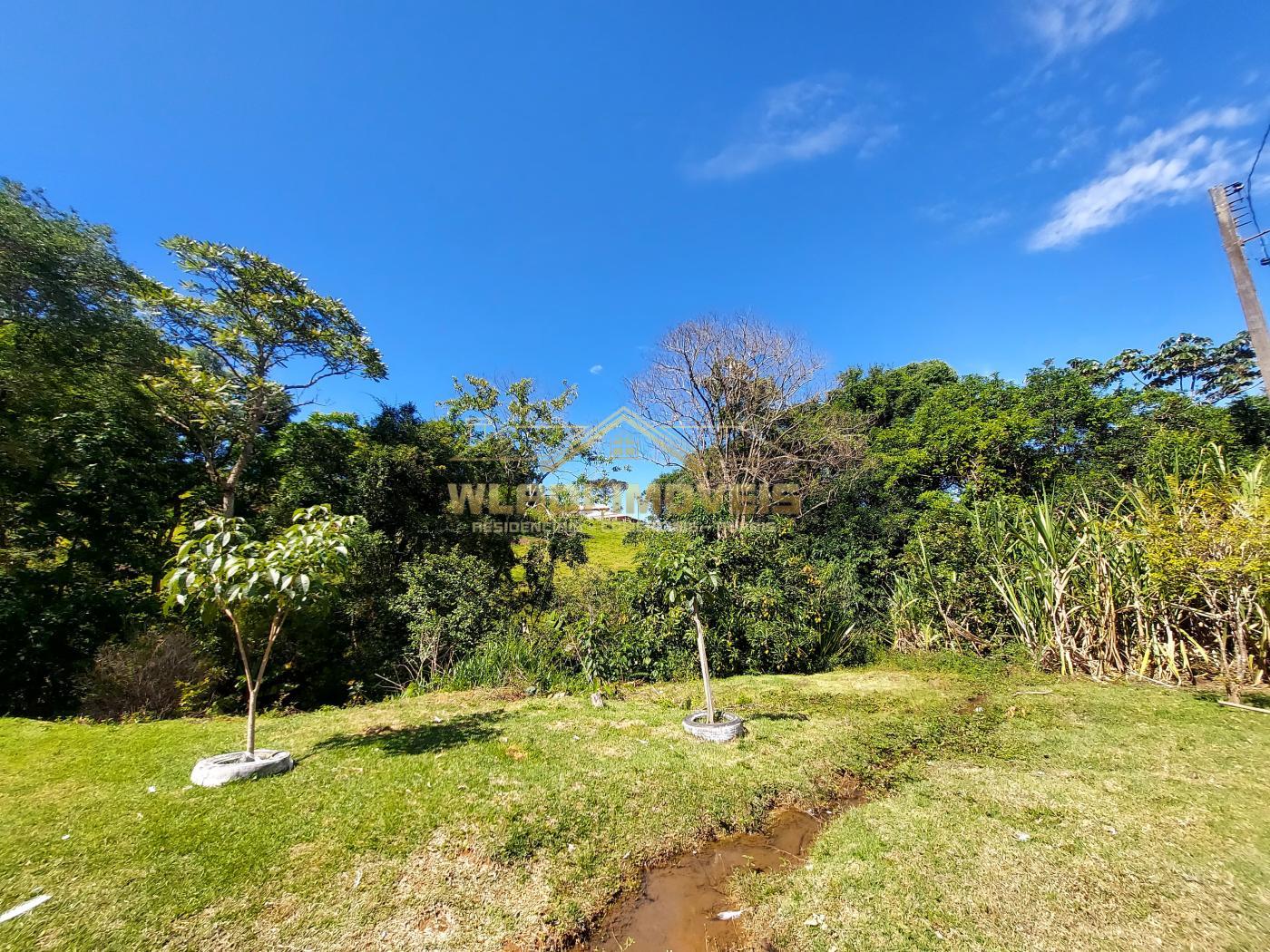 Fazenda à venda com 3 quartos, 30000m² - Foto 13