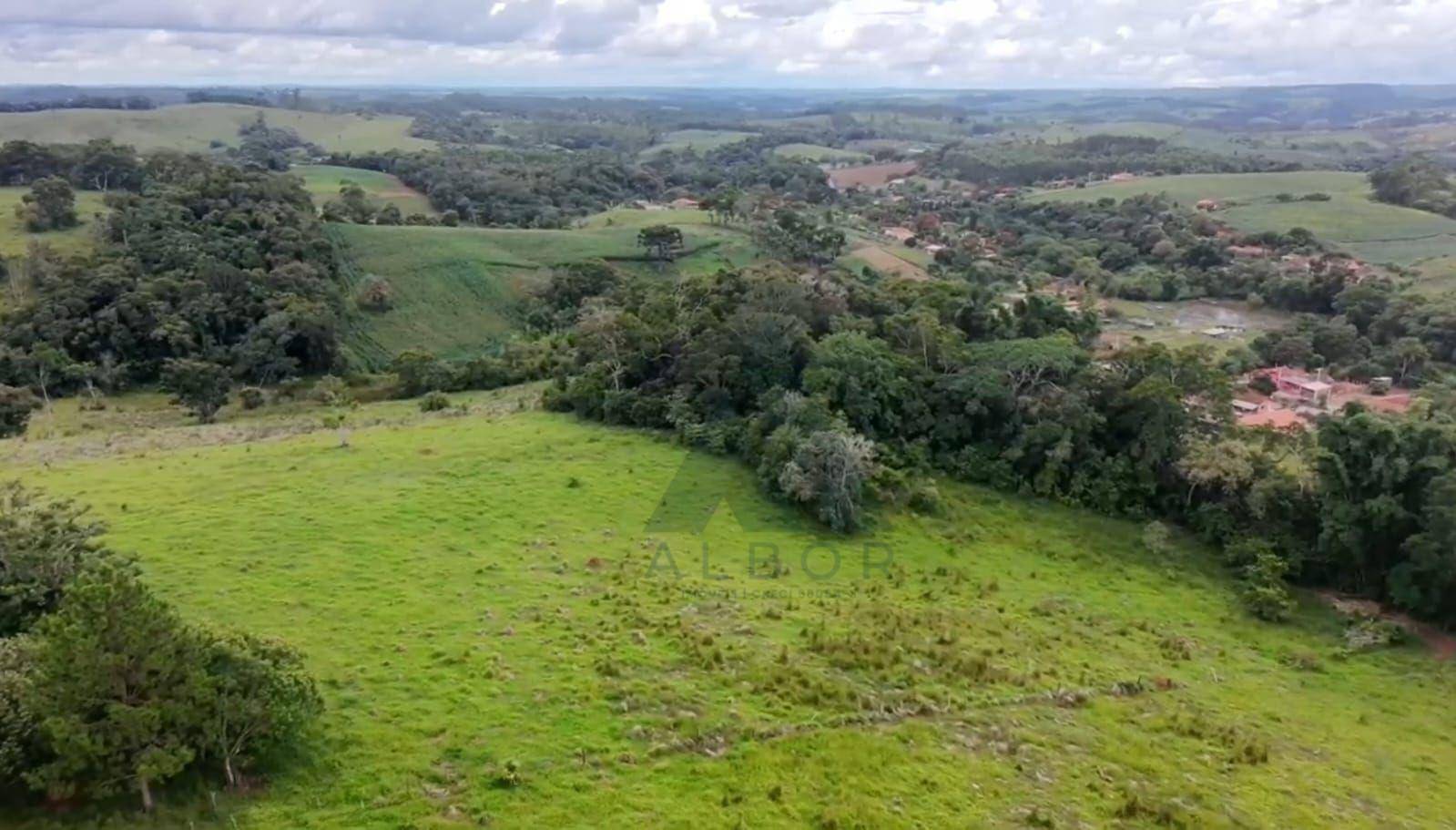 Sítio, 41 hectares - Foto 5