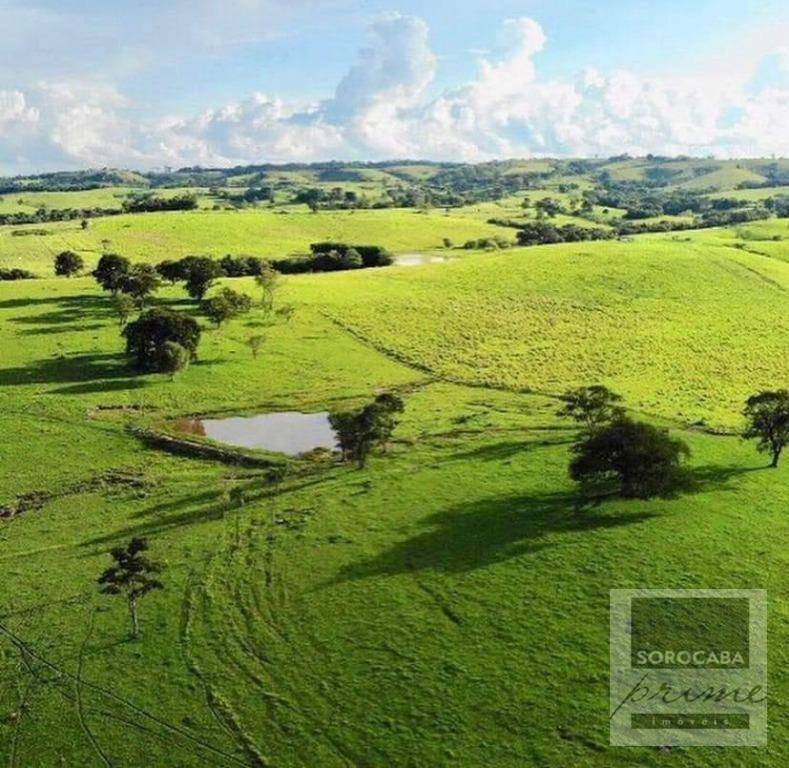 Fazenda à venda, 6050000M2 - Foto 24