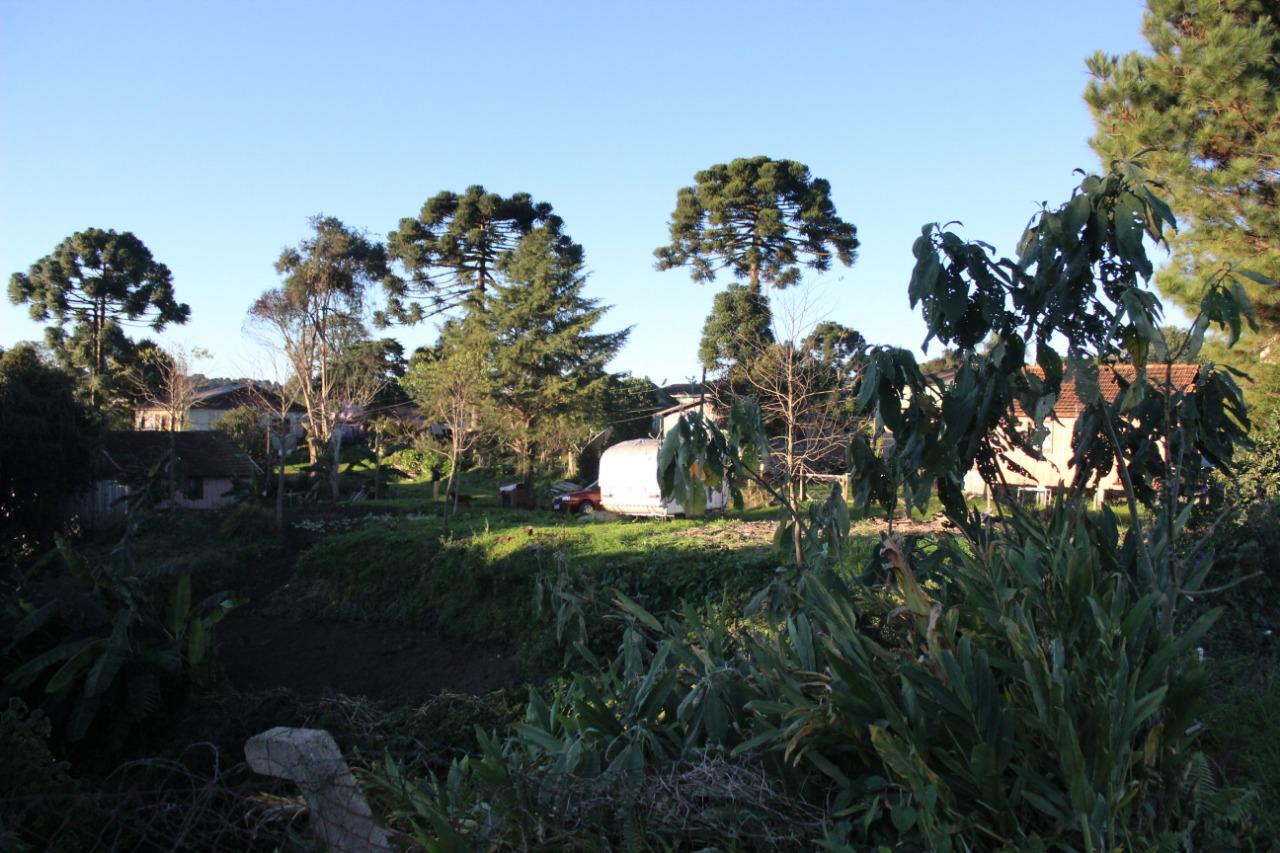 Terreno à venda, 4016m² - Foto 10