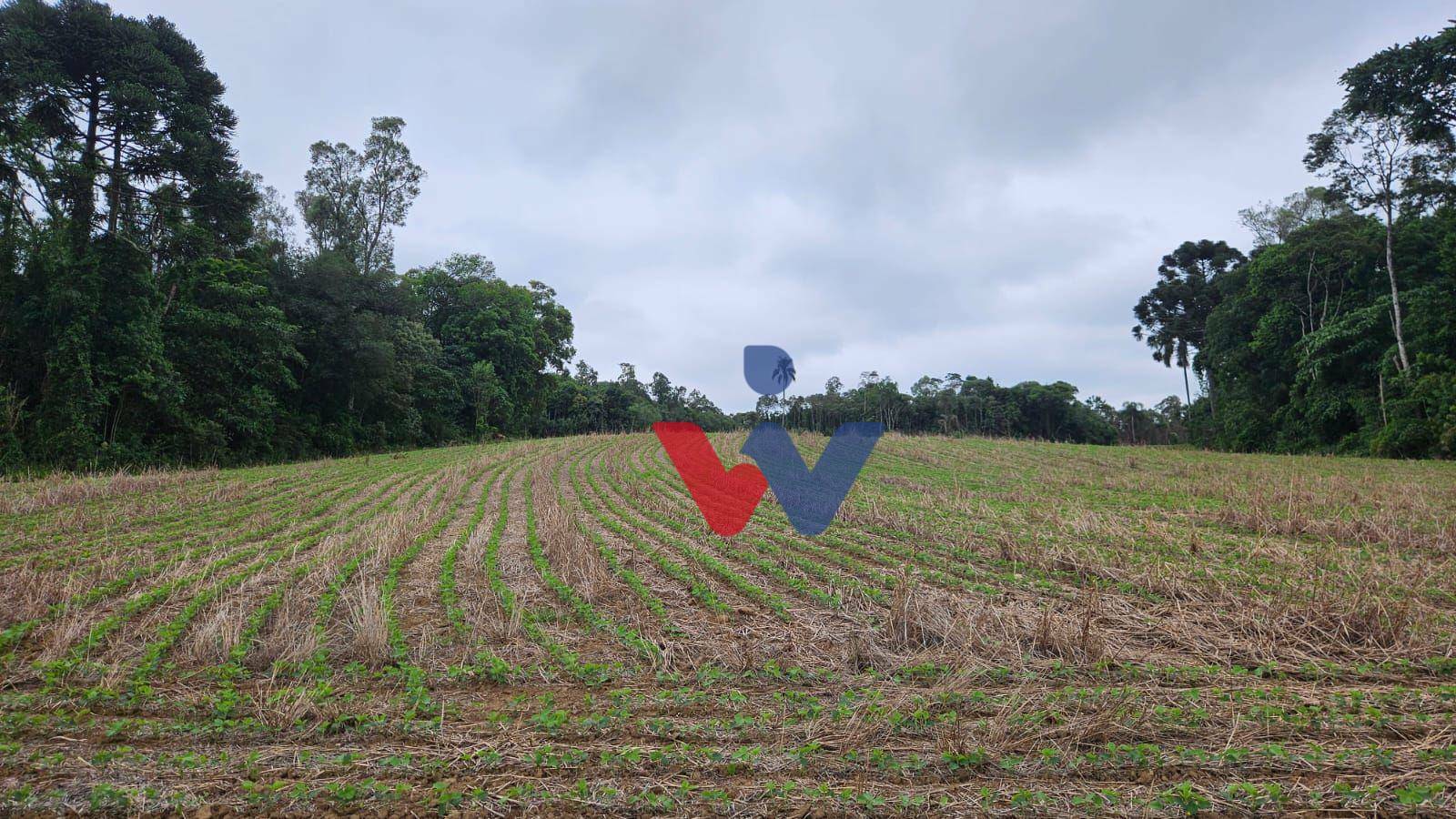 Fazenda à venda com 3 quartos, 1694000M2 - Foto 17