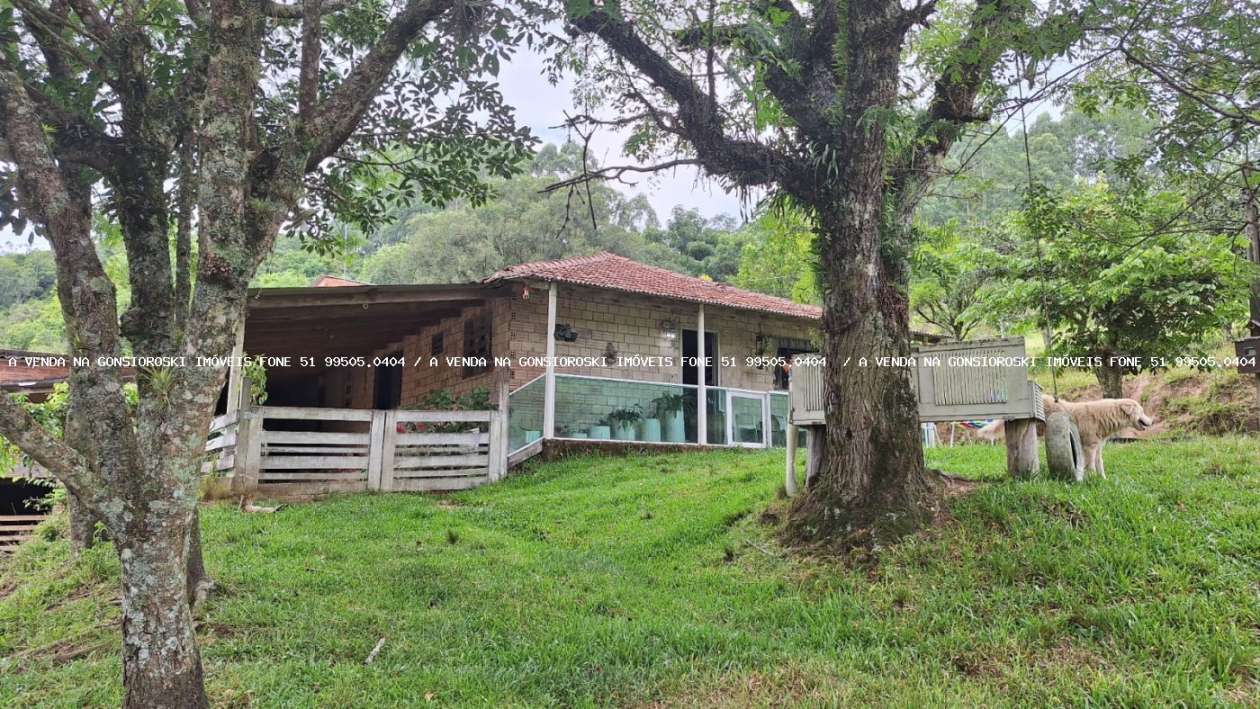 Sítio, 20 m² - Foto 3