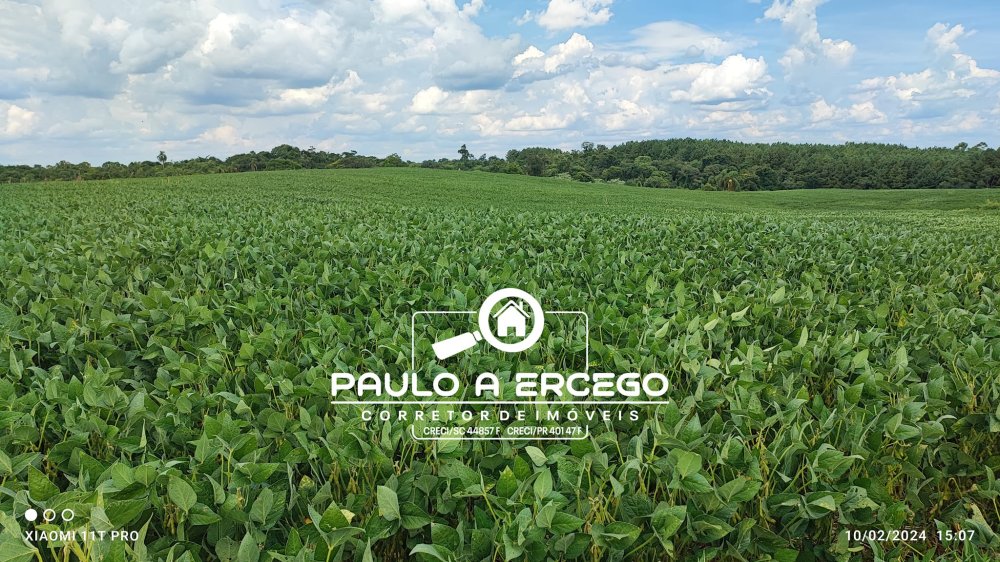 Sítio, 12 hectares - Foto 4