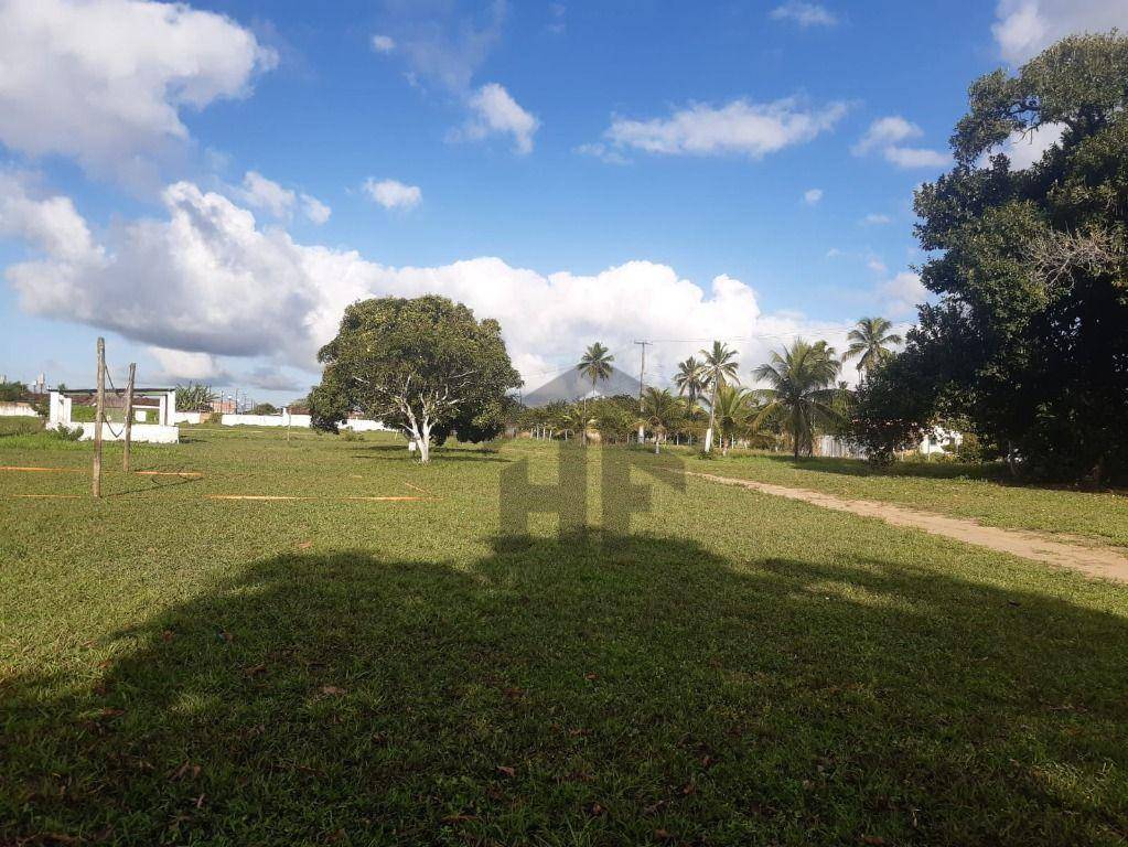 Terreno, 5 hectares - Foto 9