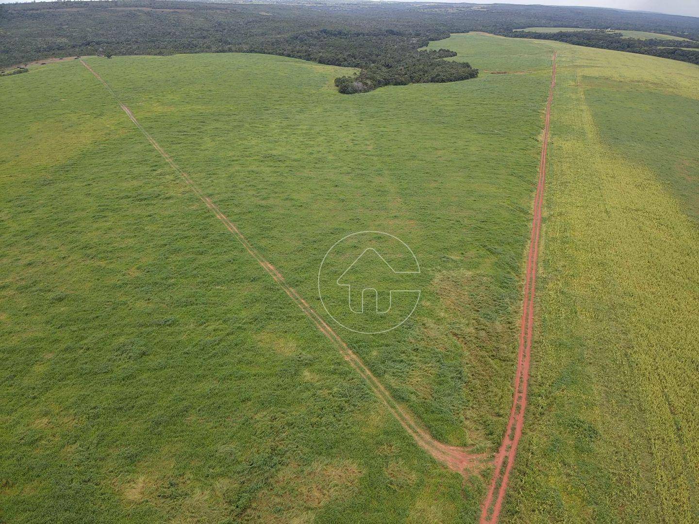 Fazenda à venda, 18270000M2 - Foto 5