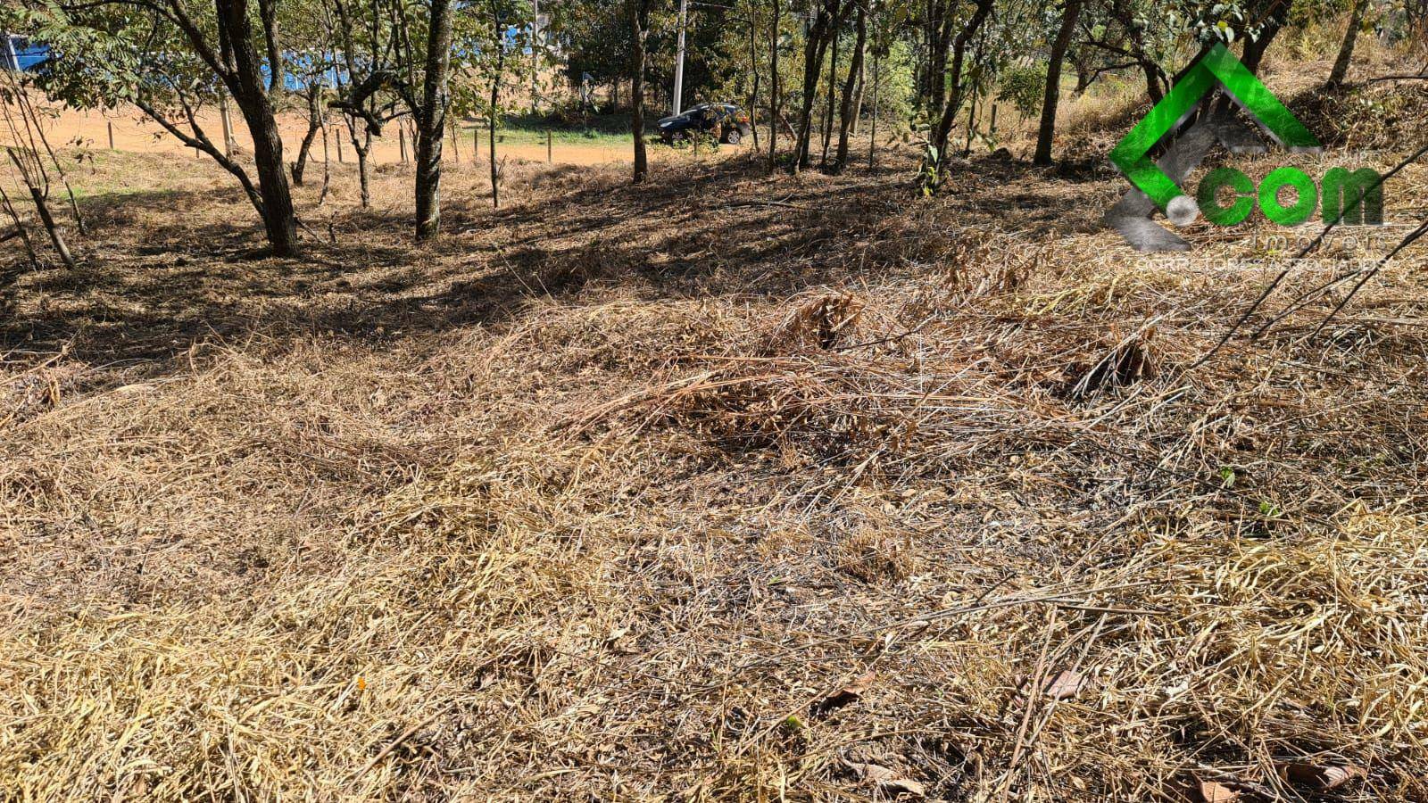 Loteamento e Condomínio à venda, 3600M2 - Foto 29