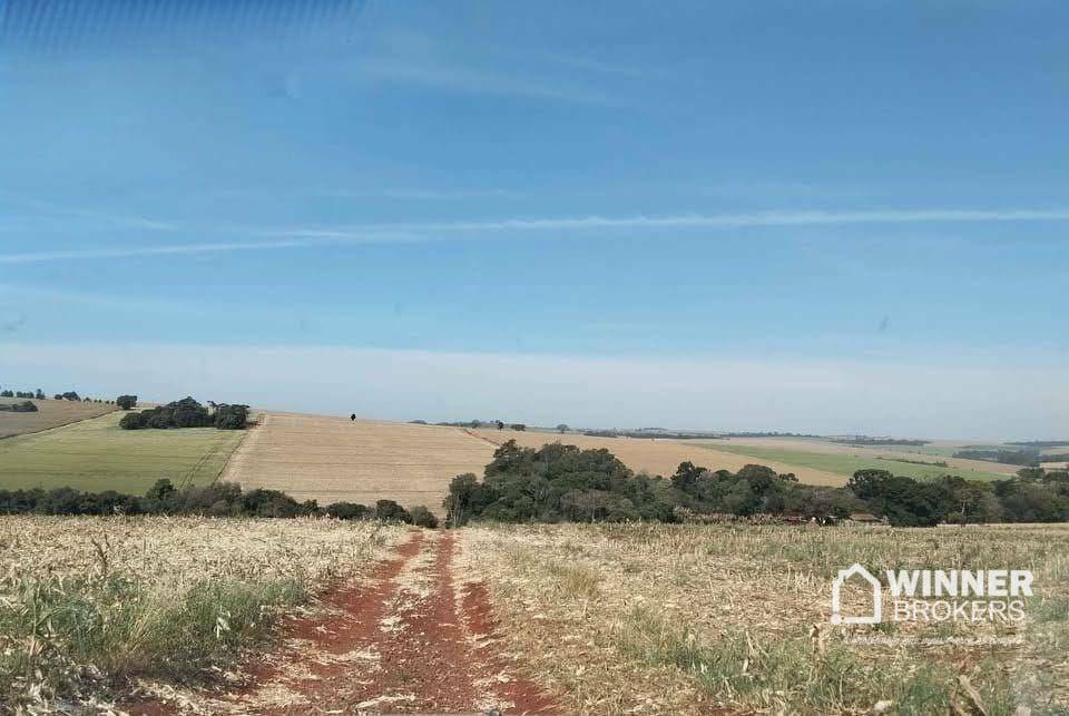 Sítio, 12 hectares - Foto 4