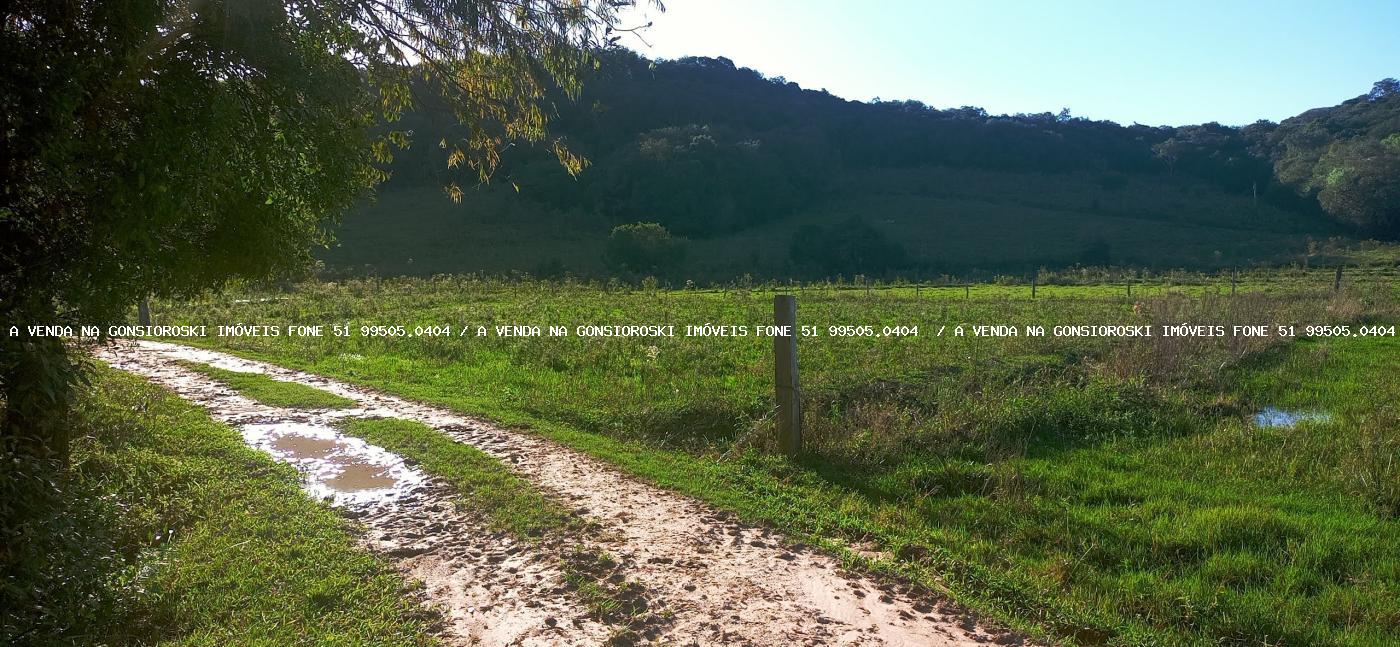 Fazenda à venda com 3 quartos, 55000m² - Foto 14
