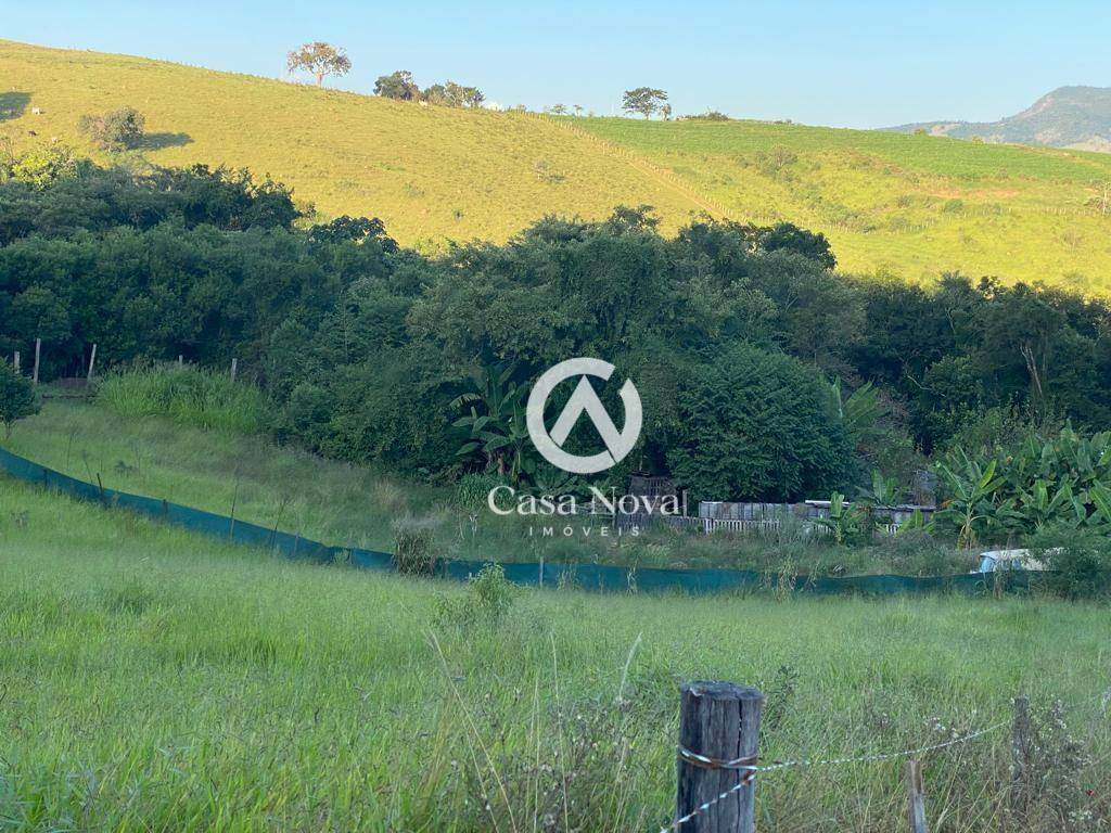 Terreno, 3 hectares - Foto 3