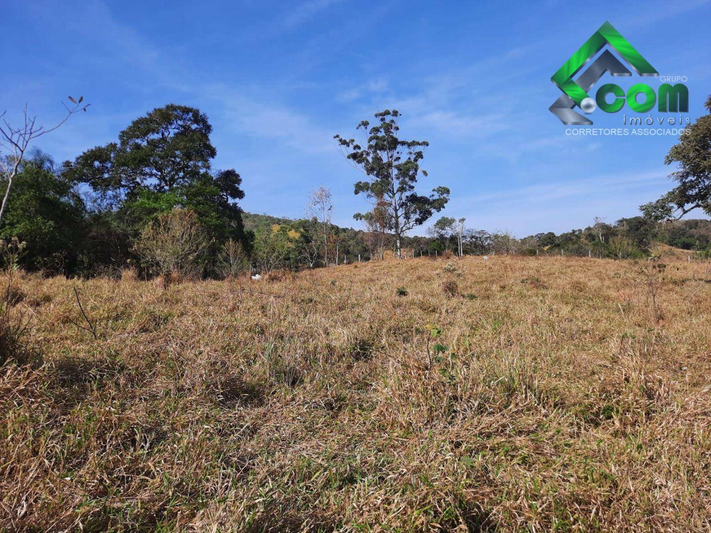 Terreno à venda, 20000M2 - Foto 4