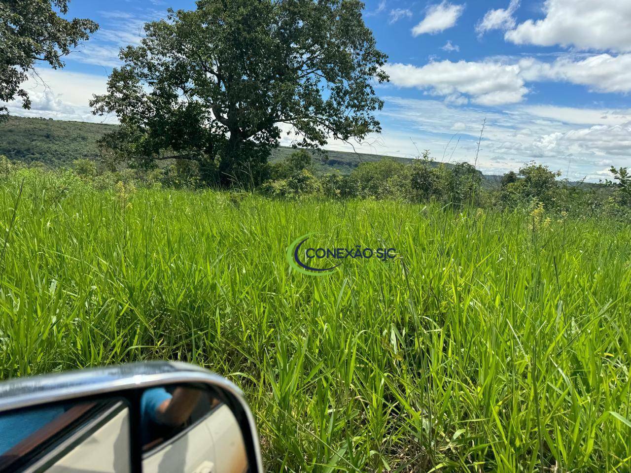 Fazenda à venda com 3 quartos, 19360000M2 - Foto 23