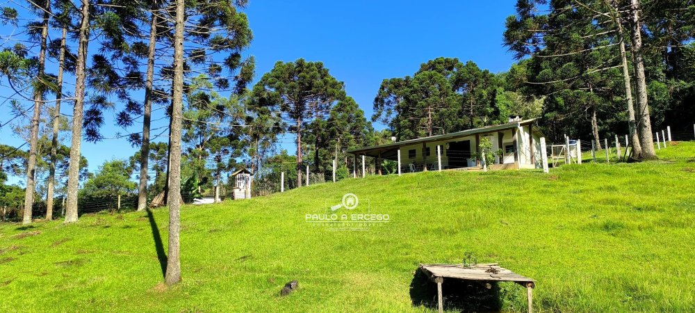 Fazenda à venda com 2 quartos, 13700m² - Foto 3