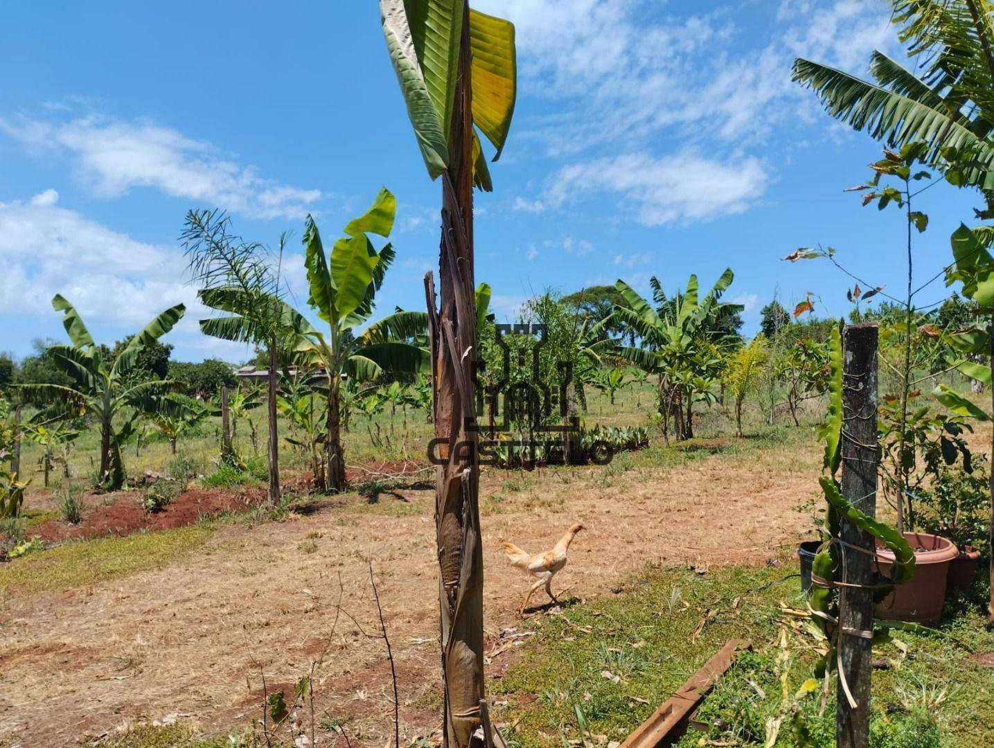 Chácara à venda com 3 quartos, 5022M2 - Foto 22