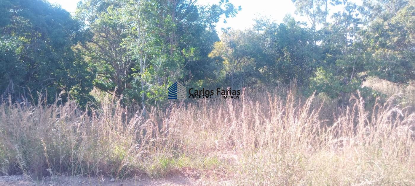 Chácara à venda com 3 quartos, 250m² - Foto 5