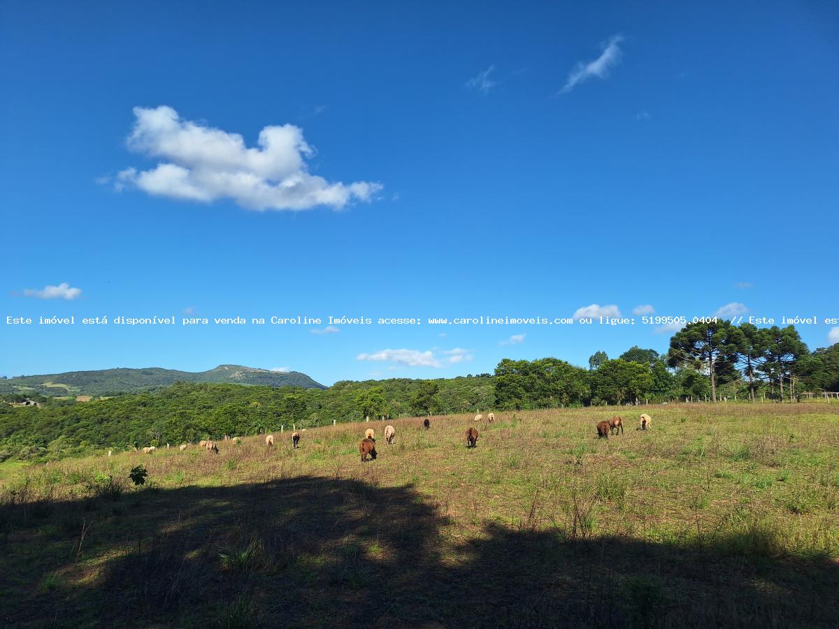 Loteamento e Condomínio à venda, 26000m² - Foto 9