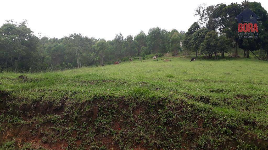 Terreno à venda, 500000M2 - Foto 16