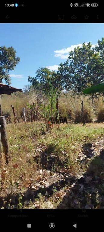 Fazenda à venda, 726000M2 - Foto 7