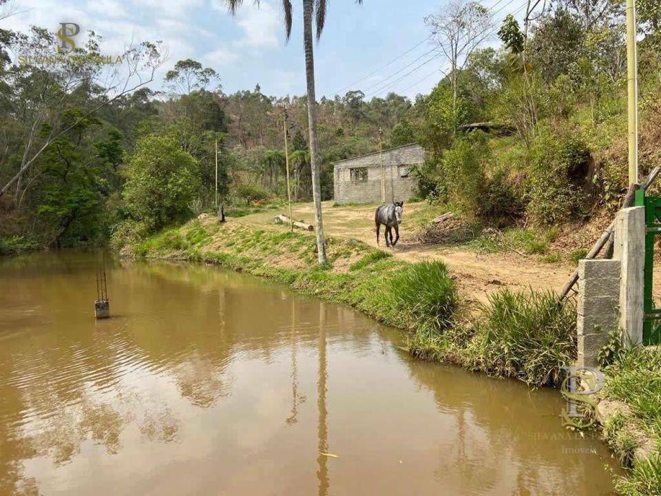 Sítio à venda com 8 quartos, 400m² - Foto 37