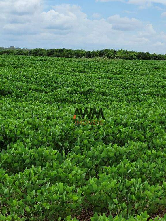 Fazenda à venda, 5130400M2 - Foto 1