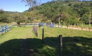 Fazenda à venda com 3 quartos, 40000m² - Foto 14