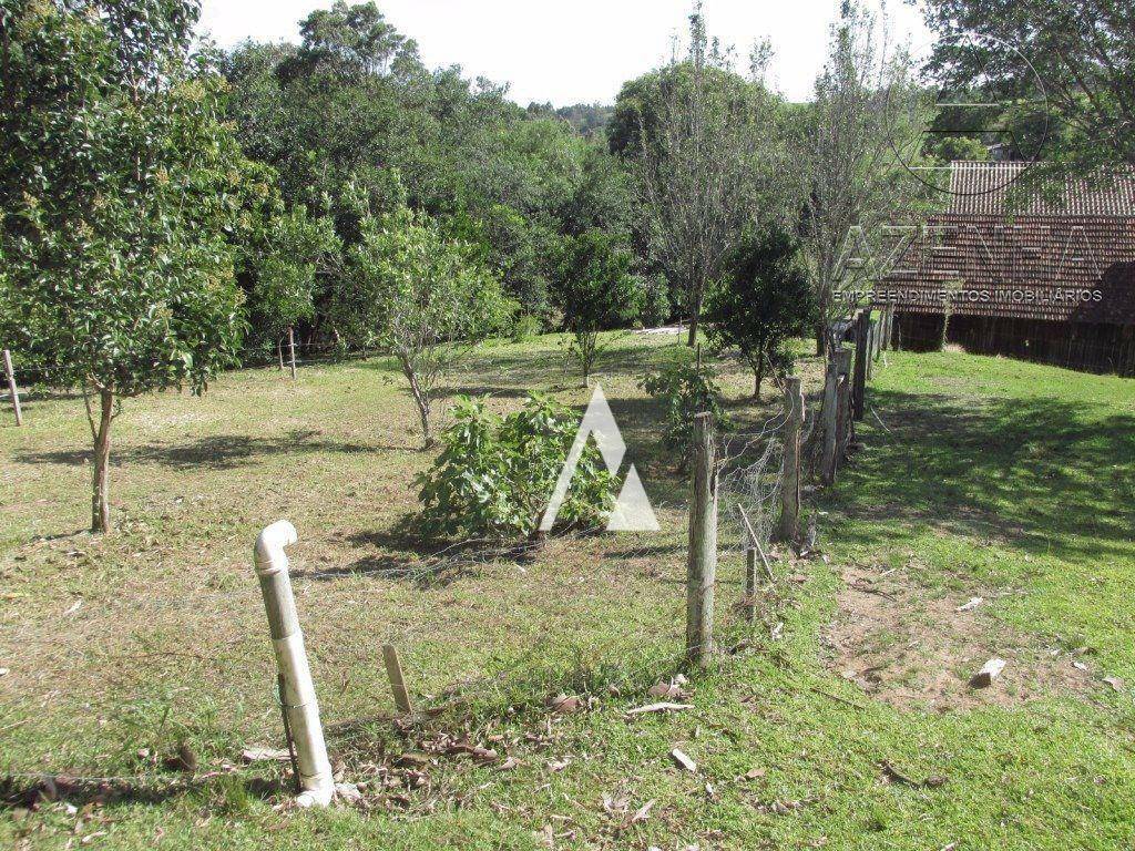 Casa à venda com 3 quartos, 120000M2 - Foto 51