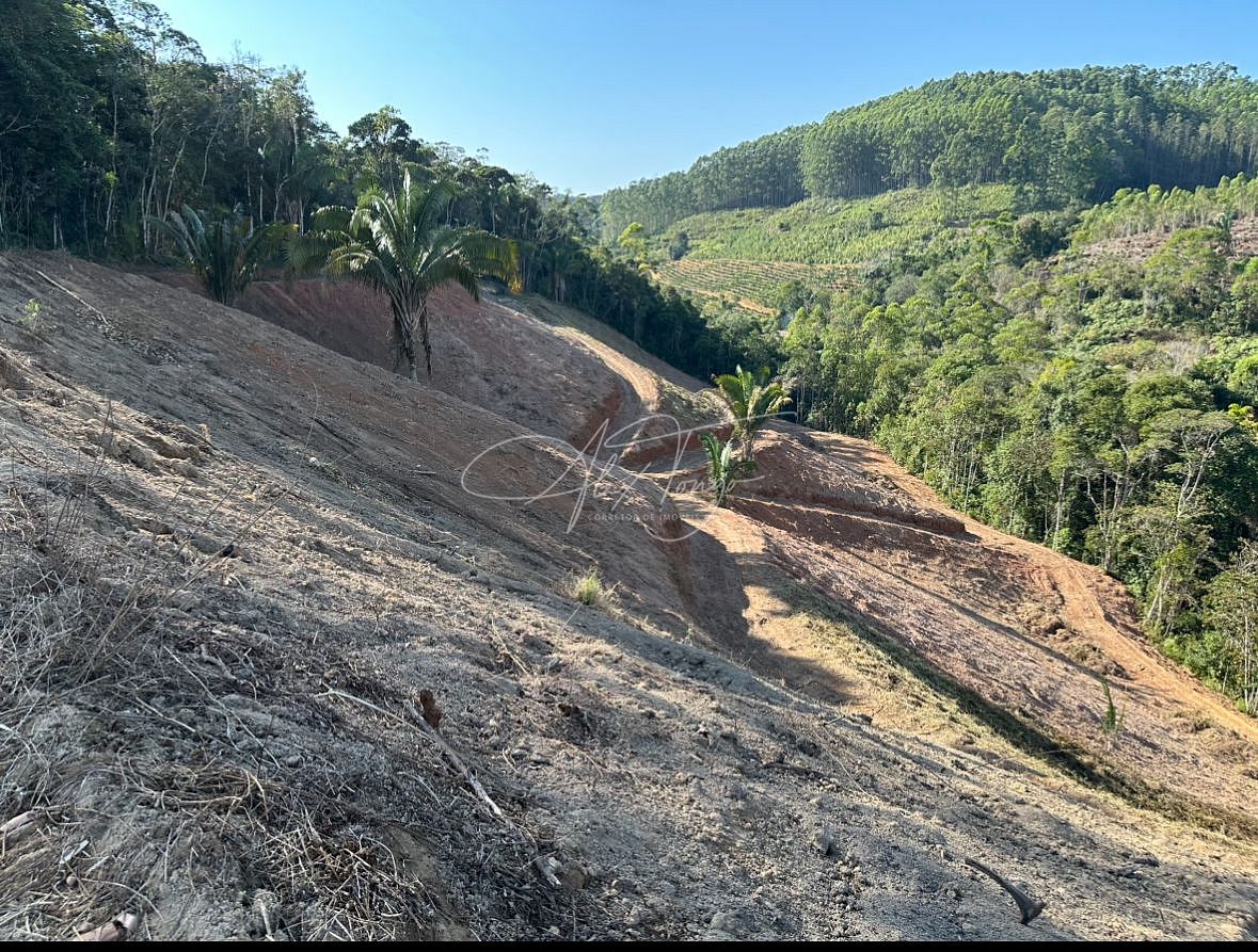 Fazenda à venda, 10000m² - Foto 11