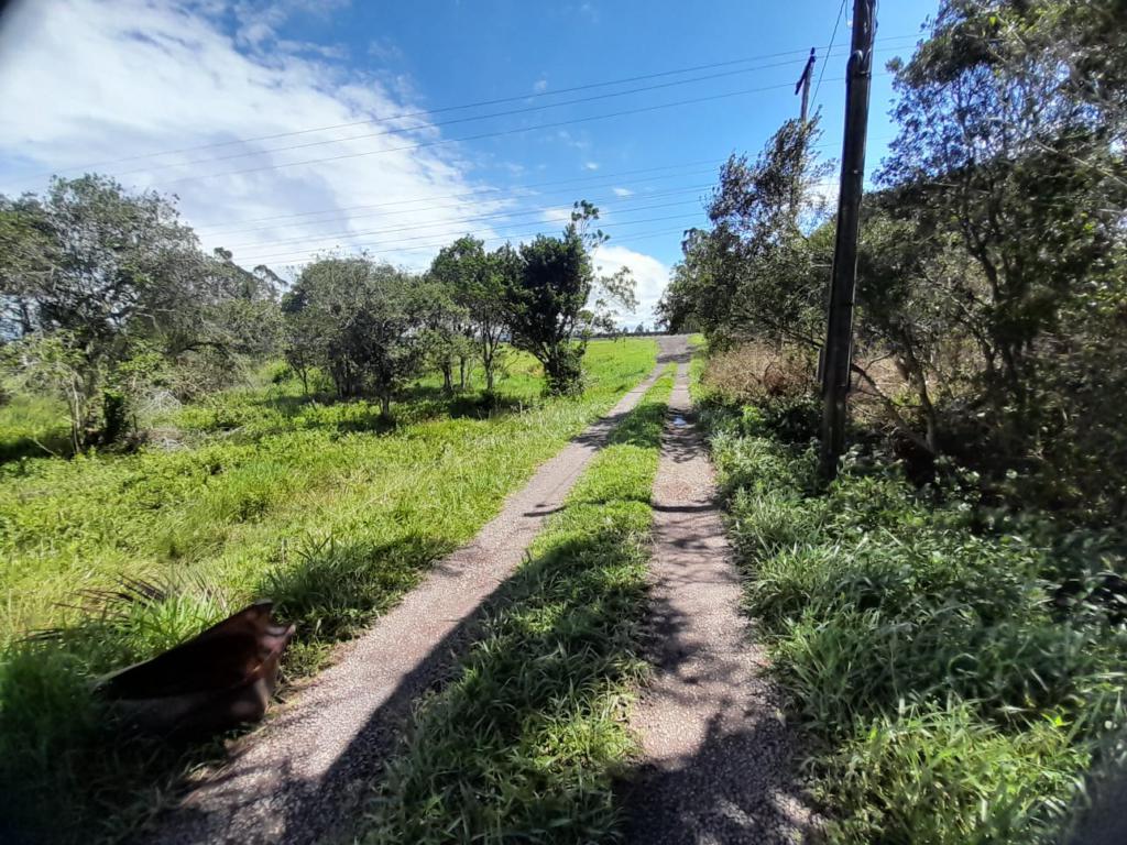 Fazenda à venda com 1 quarto, 156m² - Foto 16