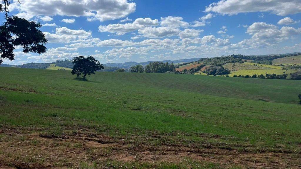 Fazenda, 339 hectares - Foto 15