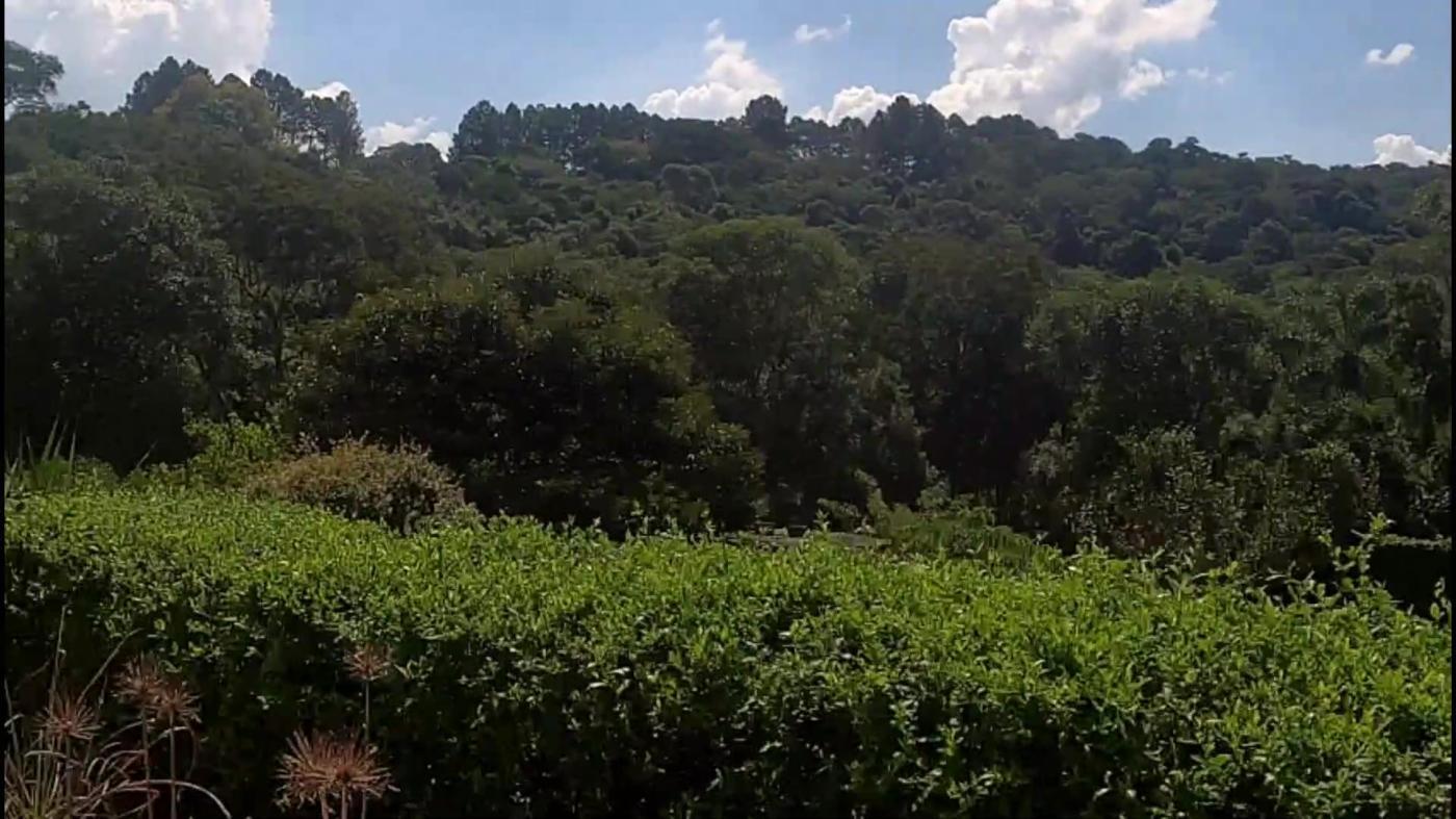 Chácara à venda com 3 quartos, 4500m² - Foto 16