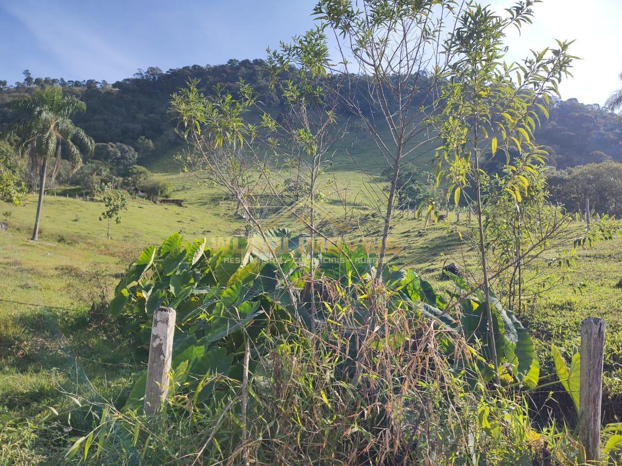 Fazenda à venda, 6m² - Foto 17