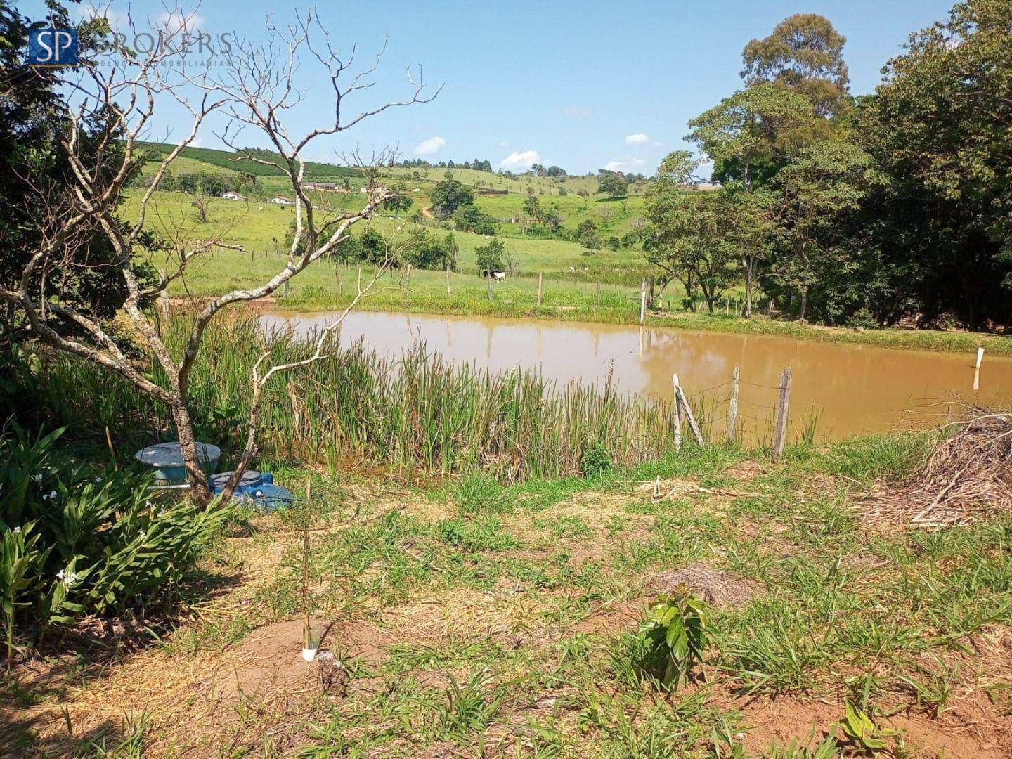 Chácara à venda com 4 quartos, 300m² - Foto 24