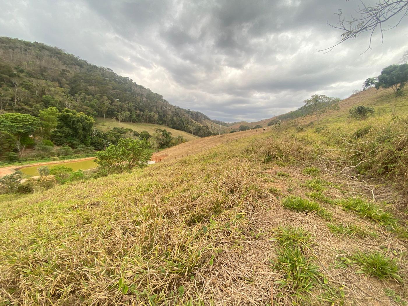 Sítio à venda com 5 quartos, 170000m² - Foto 28