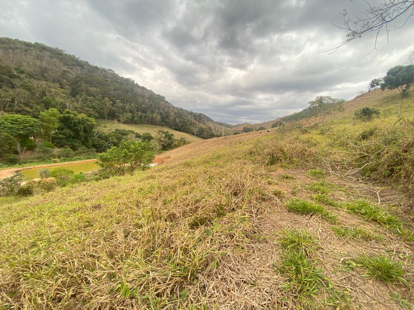 Fazenda à venda com 5 quartos, 170000m² - Foto 27